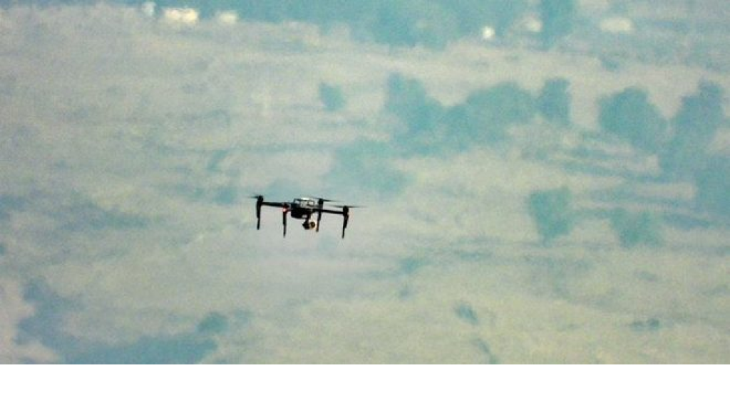 المقاومة تسقط مسيرة معادية في العيشية