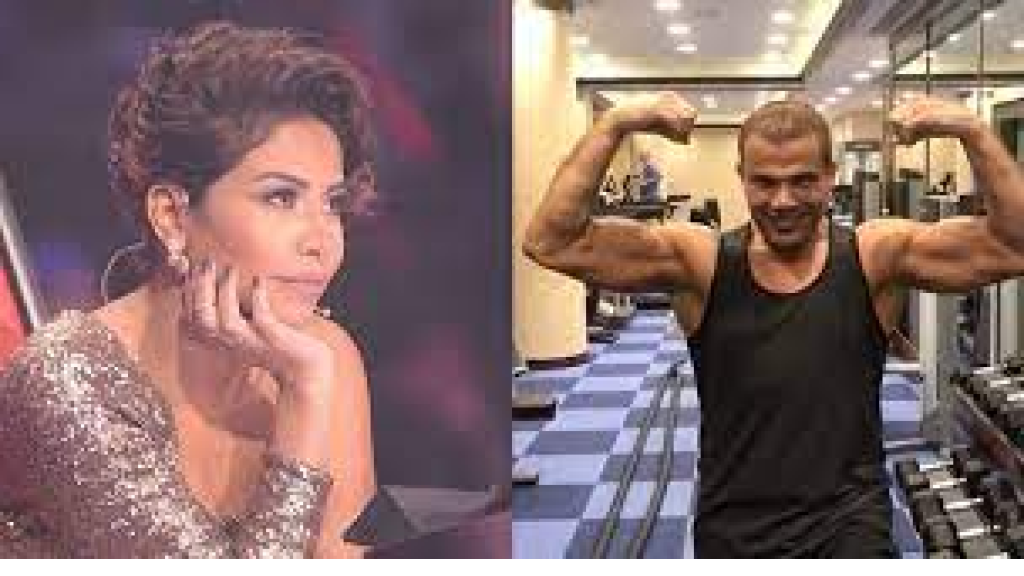 منع عمرو دياب وشيرين من الغناء في لبنان؟