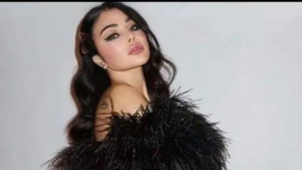 هذا ما كشفته هيفا وهبي عن محاولة استبعادها.. 