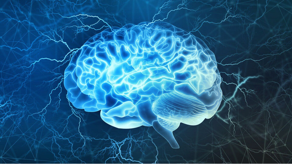 دراسة تكشف.. الدماغ قادر على تخزين بيانات أكثر بعشرة أضعاف مما كان يُعتقد سابقًا