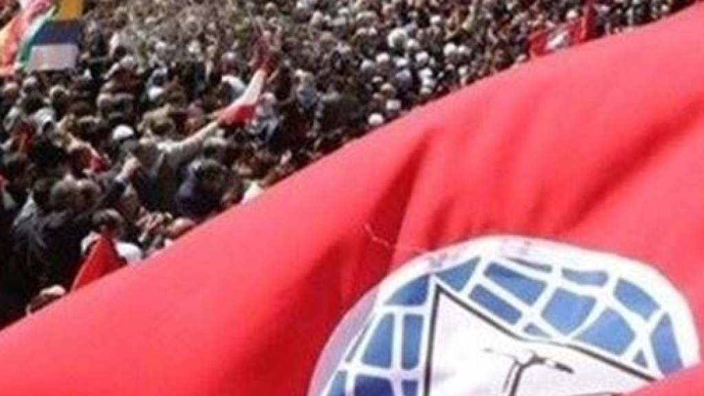 مناشيرٌ 