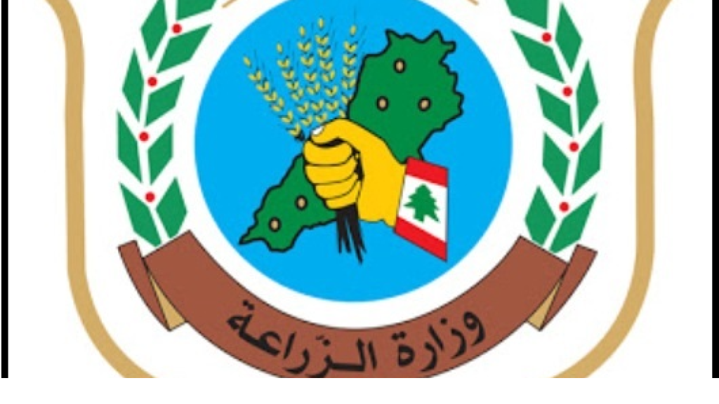 إليكم متوسط أسعار الجملة والتجزئة للحوم والخضار والفاكهة والحليب