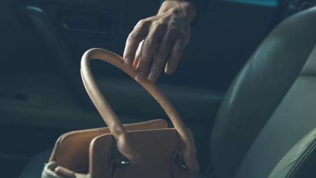 حاولا سلبها في السيارة... إليكم ما فعلته بهما!