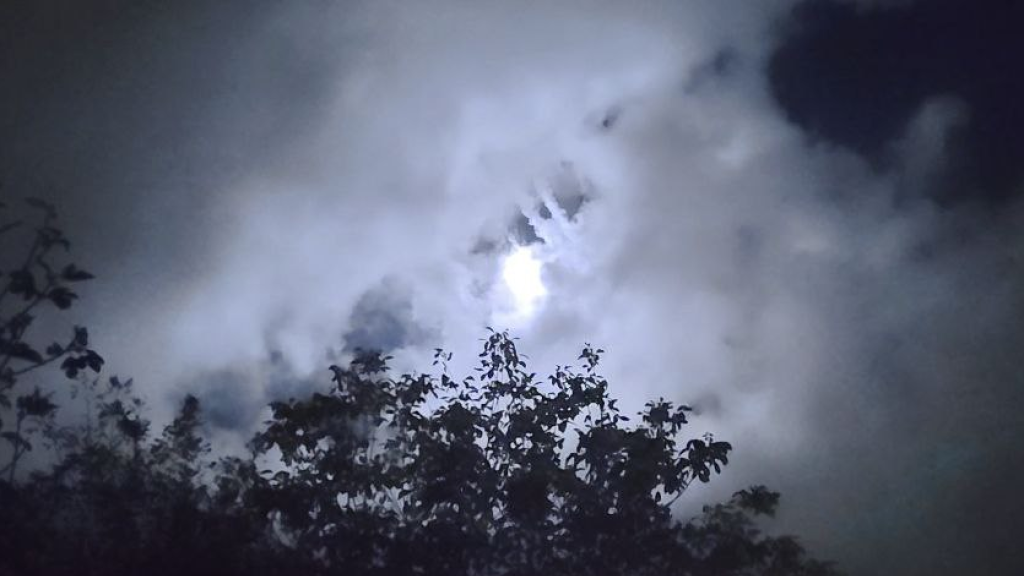 ملخص الاعتداءات الإسرائيلية على البلدات الجنوبية بتاريخ: ٢٠٢٤/٠٩/٢١  