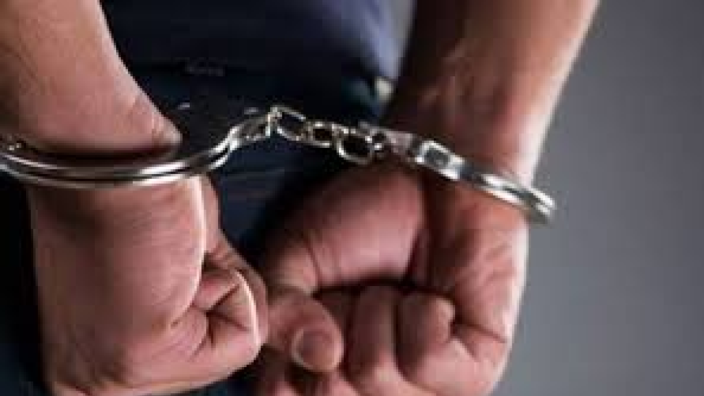 ناطور سابق... سرق 