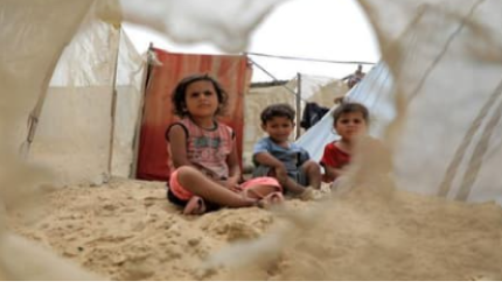 عام 2024: كابوسٌ لهؤلاء!