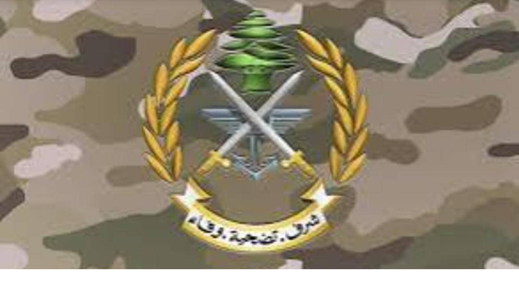 الجيش يفجر ذخائر في كفرملكي