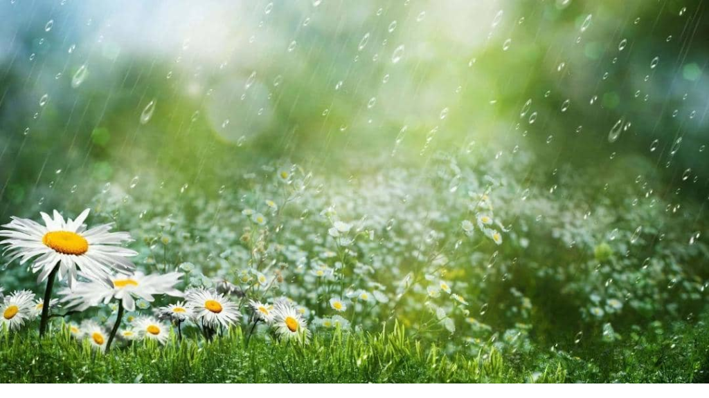 أمطار خفيفة متفرقة السبت