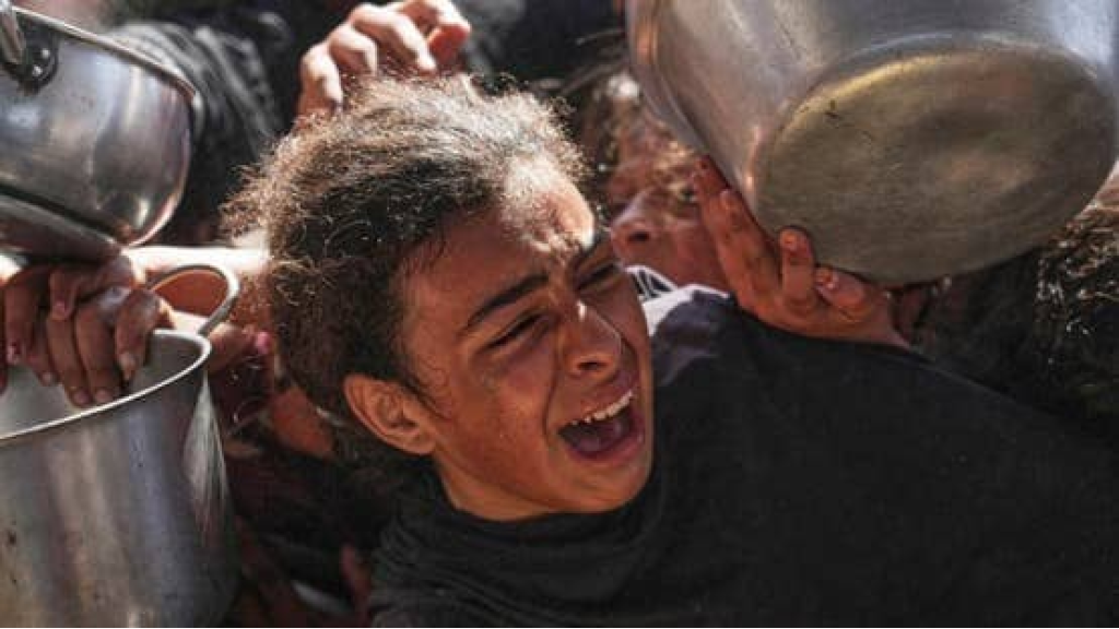 مرصد عالمي: نصف مليون شخص يواجهون الموت جوعاً في غزة