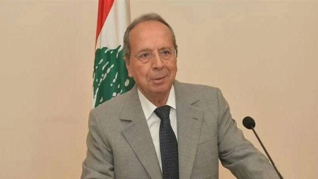السيد: الأمان يبدأ من الجنوب... لا من التنكيل بأهله