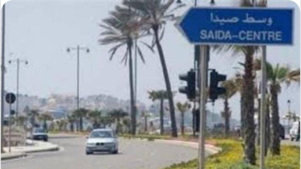صيدا تستعد للانتخابات ومحافظة الجنوب تتابع التحضيرات