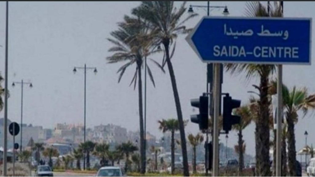 فوز 10 بلدات في قضاء صيدا بالتزكية