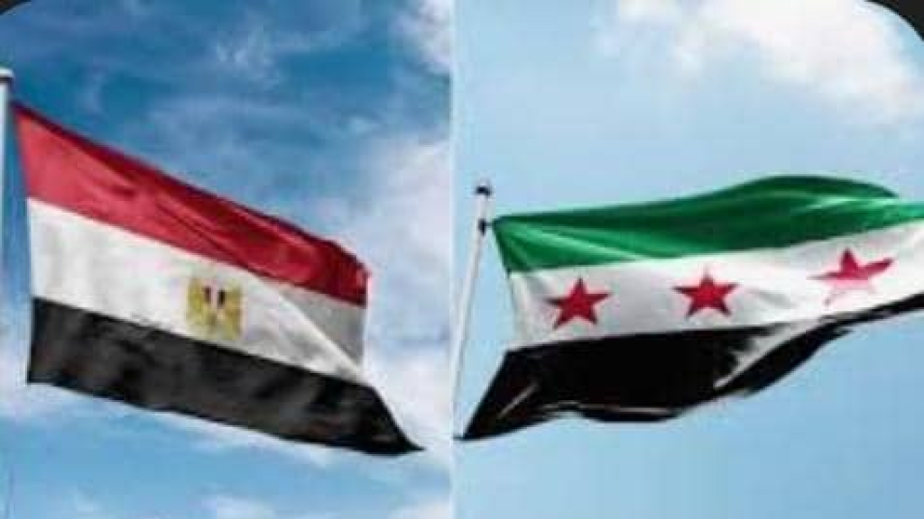 73 مليار دولار استثمارات السوريين بمصر