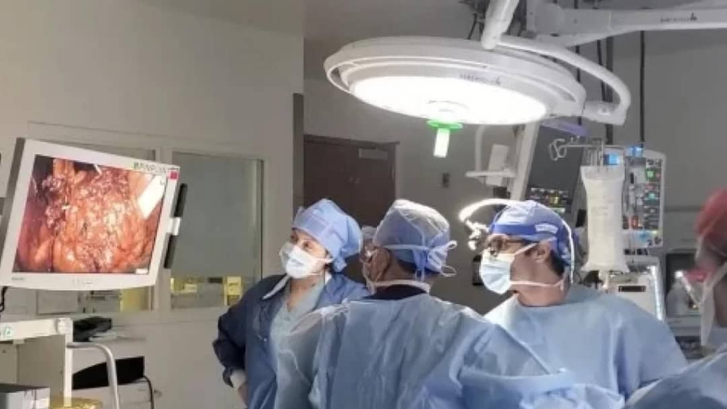 جراحون ينجحون في أول عملية زراعة مثانة بشرية في العالم