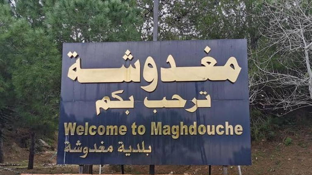 على خلفية الانتخابات البلدية: اشكال داخل حرم مهنية مغدوشة