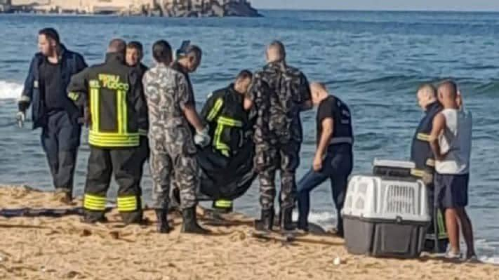 فاجعة صباحية
