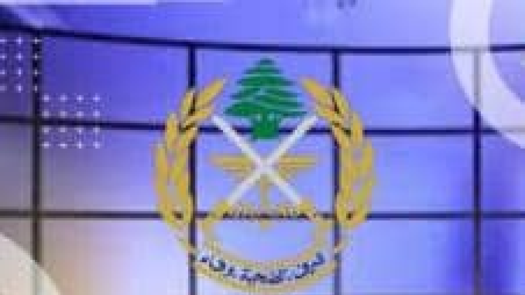 الجيش: عمليات دهم وتوقيف ١١١ شخصا وضبط كمية من الأسلحة والذخائر الحربية