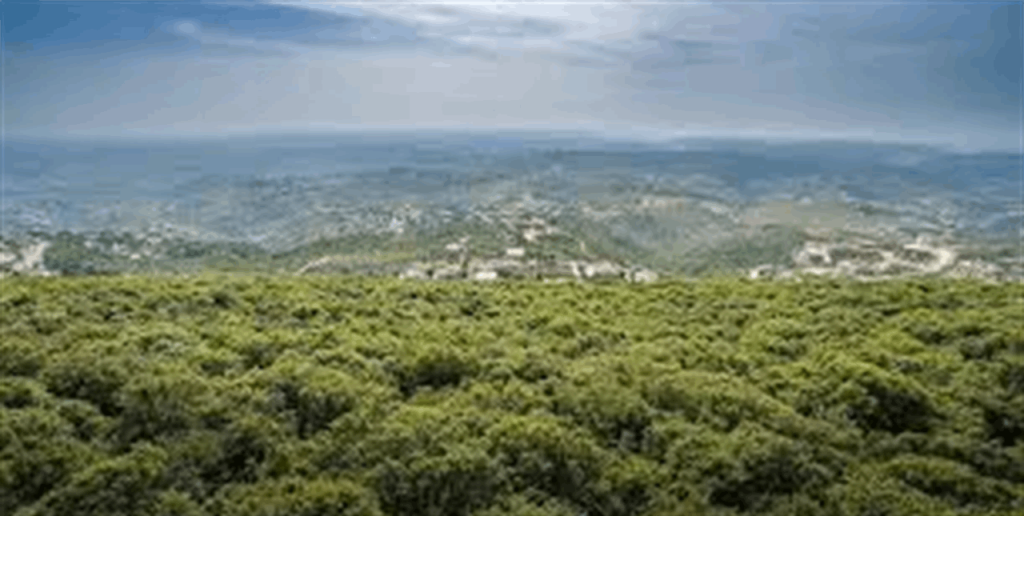 نائب في حزب الله يوجه رسالة للداخل والخارج!