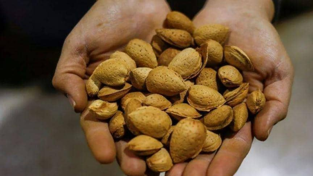 ماذا يحدث لجسمك إذا تناولت اللوز بانتظام؟