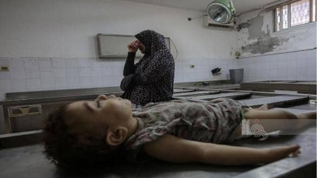 استشهاد 115 وإصابة 580 فلسطينيا خلال محاولتهم الحصول على الغذاء في غزة