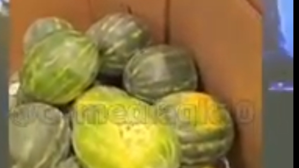 إمرأة عربية تسأل 
