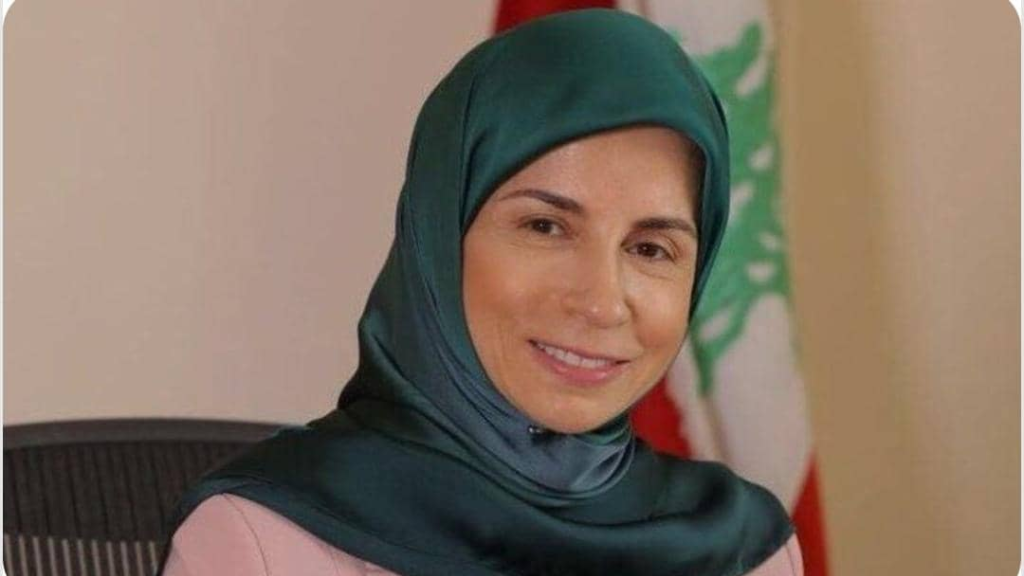 النائب د.عناية عز الدين: آن أوان الصدمة الإيجابية لإنقاذ لبنان من الانهيار