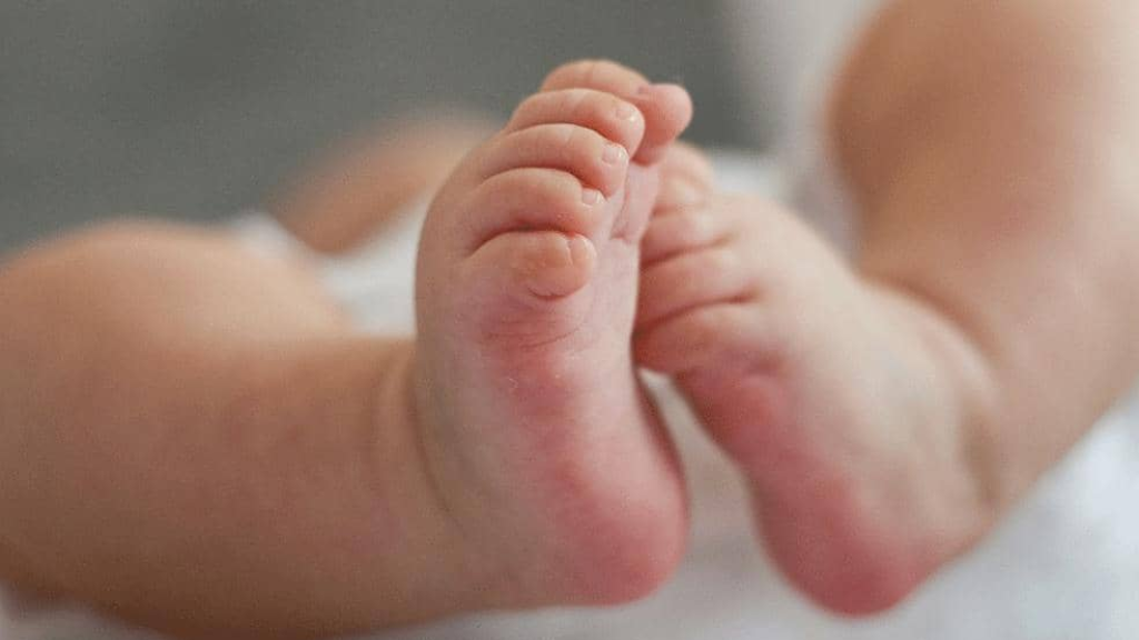 انخفاض معدل الولادات في جميع أنحاء العالم