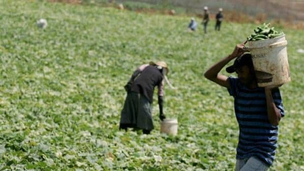 كارثة ستطال اللبنانيين... والاسعار ستلتهب بعد هذا التاريخ !