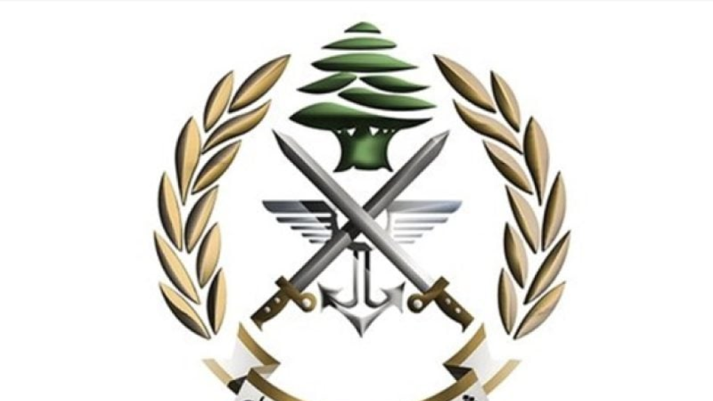 بالصور.. عمليات دهم وضبط كمية كبيرة من الأسلحة والذخائر