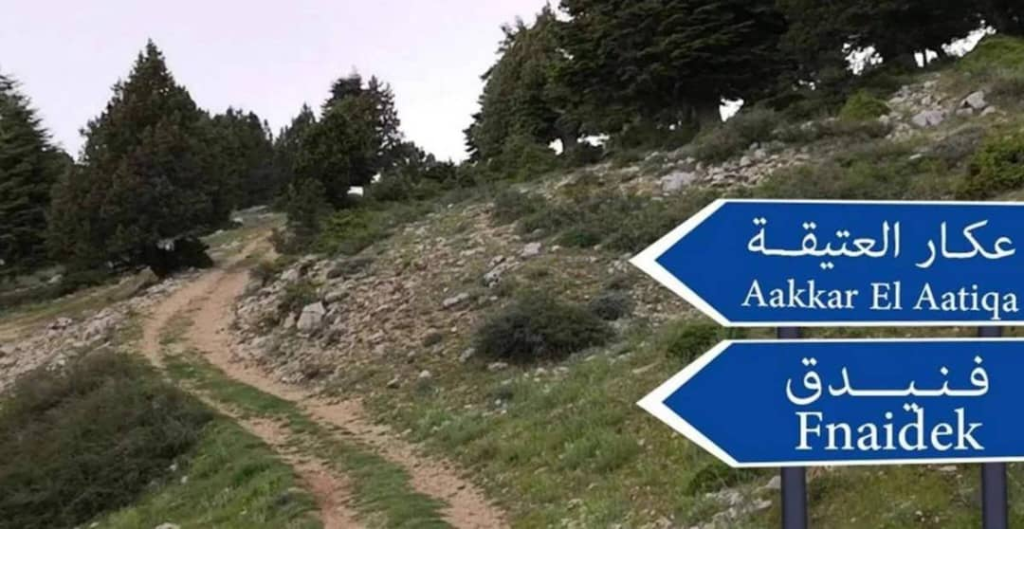 أسئلة عن 