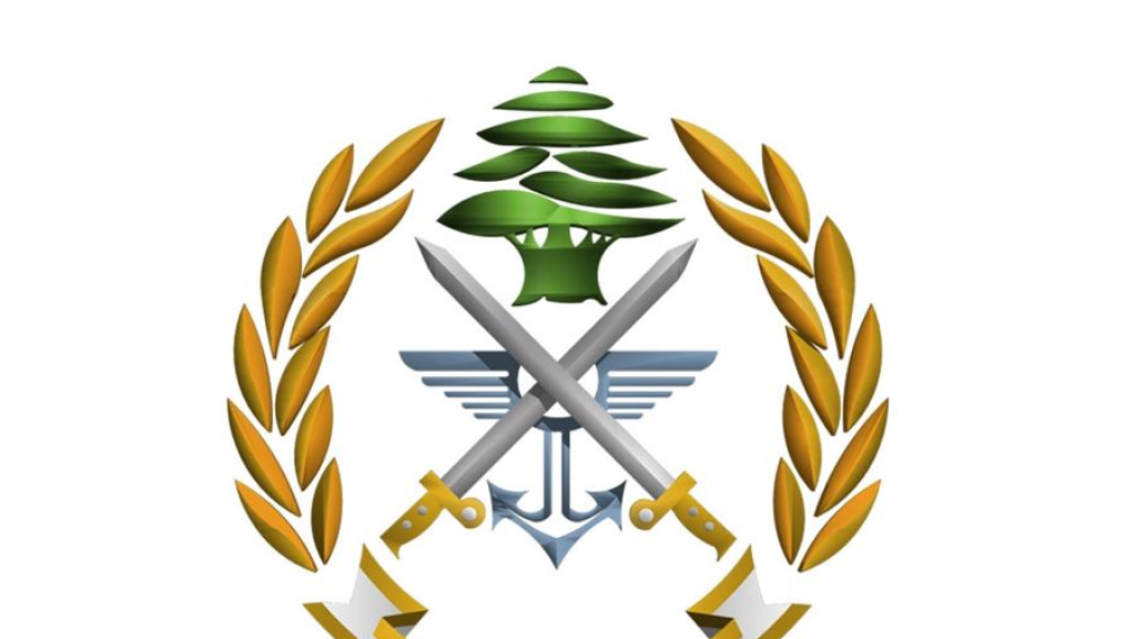 بالصور.. الجيش اللبناني يحبط تهريب أسلحة من سوريا الى لبنان
