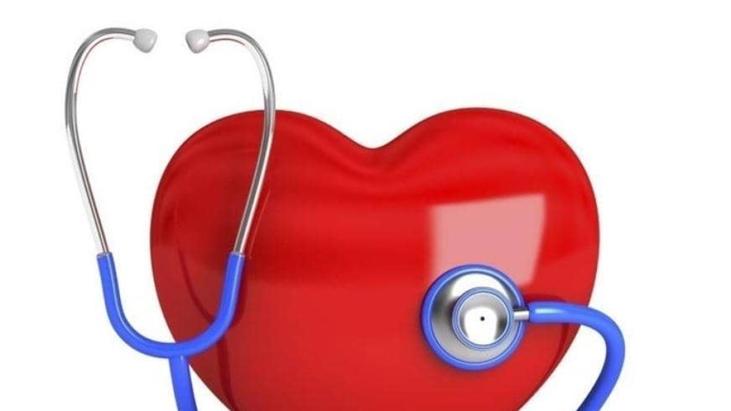 7 أطعمة غنية بالدهون لكن مفيدة للقلب... ما هي؟