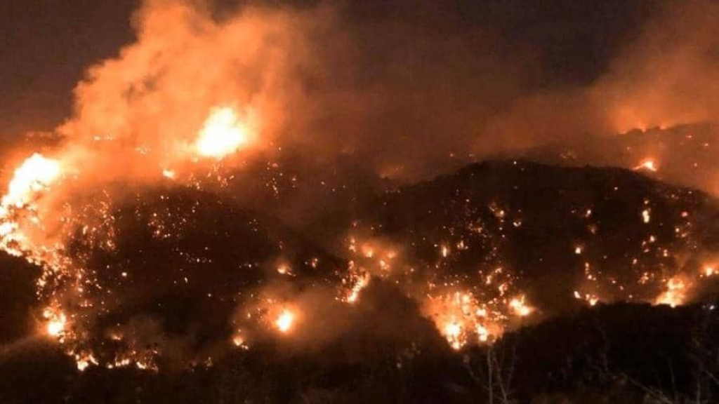 جرسُ إنذار... هل نخسرُ لُبنانَنا الأخضر؟