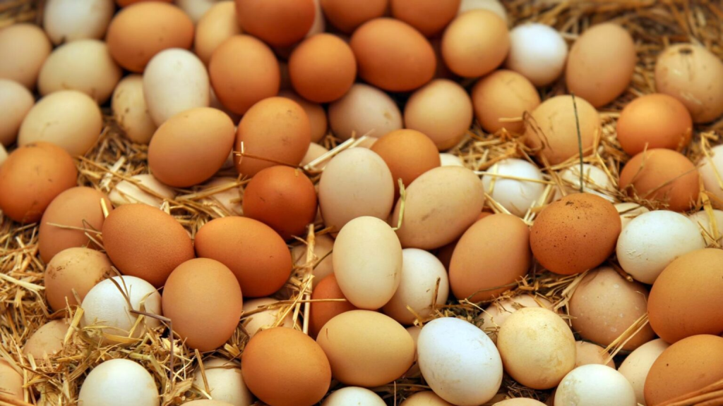 FDA الأمريكية تصدر أخطر تحذير بشأن بيض ملوث قد يهدد الحياة