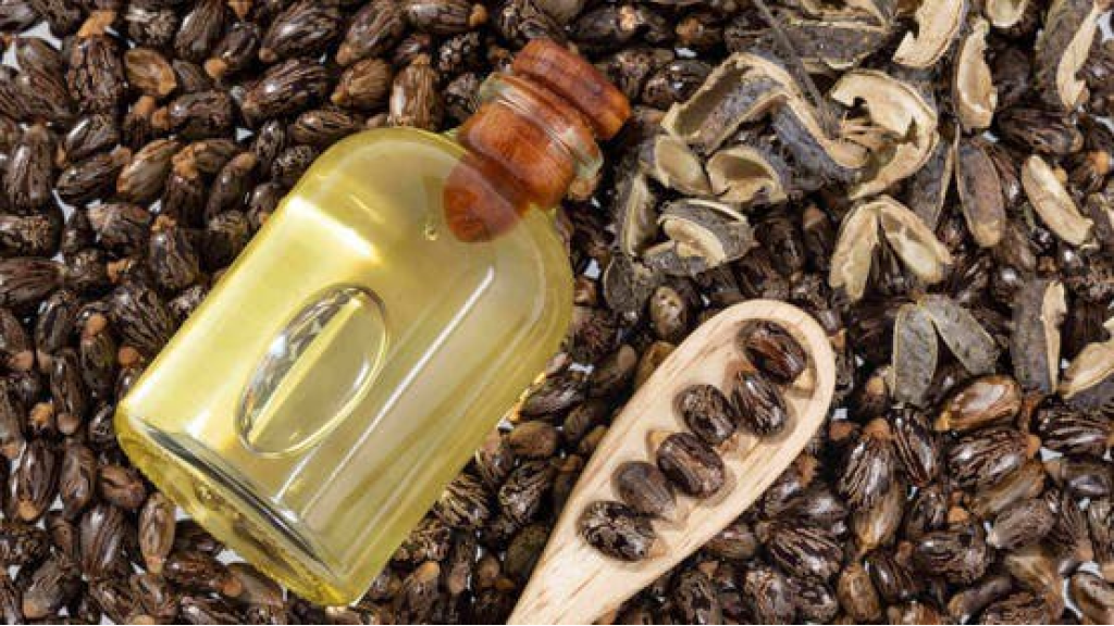 زيت الخروع.. لماذا يستحق لقب 