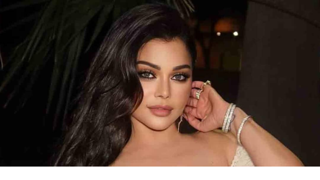مُفاجآت من هيفا وهبي للجمهور.. إليكم التفاصيل