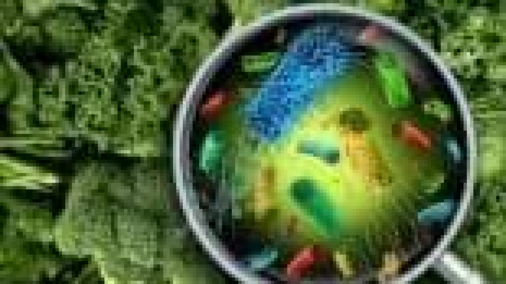 تسمم غذائي يُدخل 7 أفراد من عائلة واحدة إلى مستشفيين في عكار