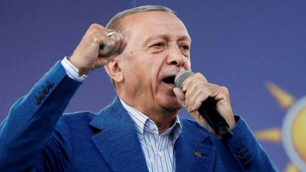 أردوغان: نرجو أن يقود نزع السلاح إلى أمن دائم في البلاد