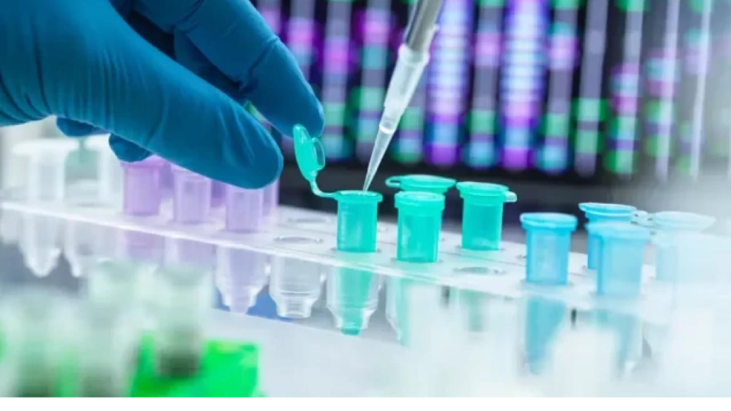 تحليل الحمض النووي (DNA): التقنية الذهبية لتحديد هوية ضحايا الكوارث الجماعية
