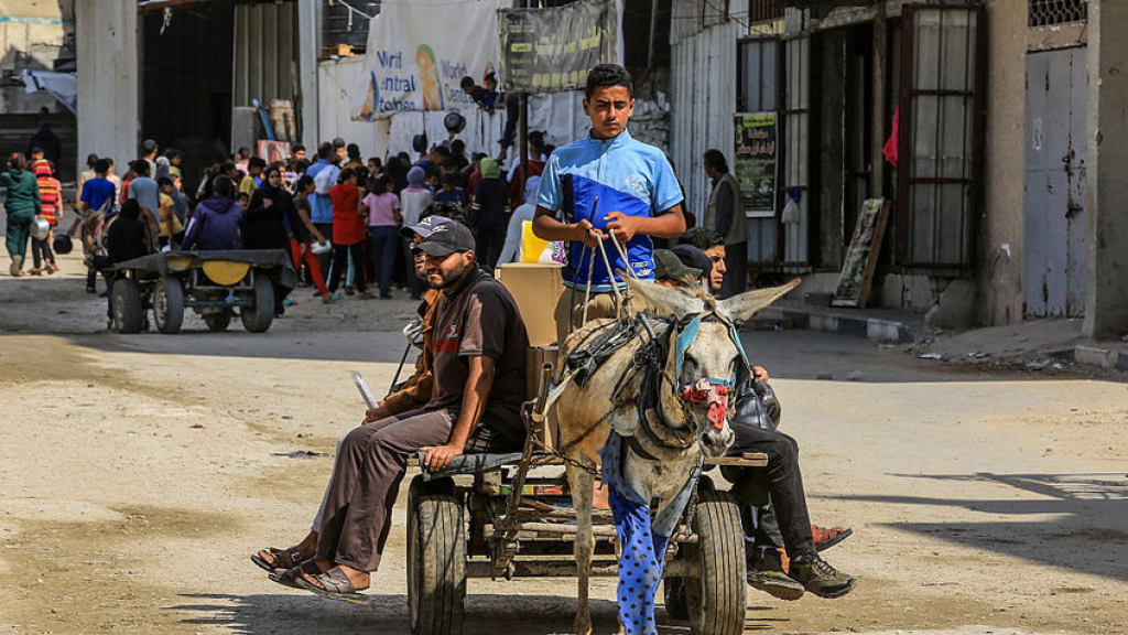 منطق الكيان: الحمير أهم من البشر