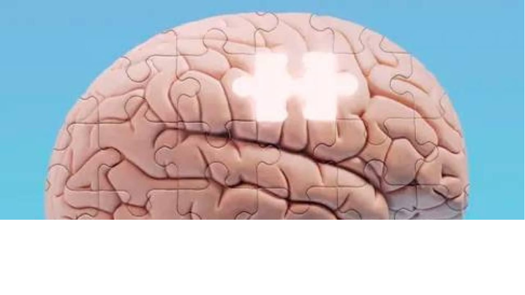 الدماغ لا يُخزّن الذكريات كقرص صلب بل يعيد تشكيلها باستمرار