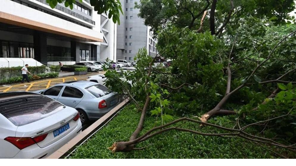 الصين تحذر من كوارث جيولوجية بعد هطول أمطار غزيرة