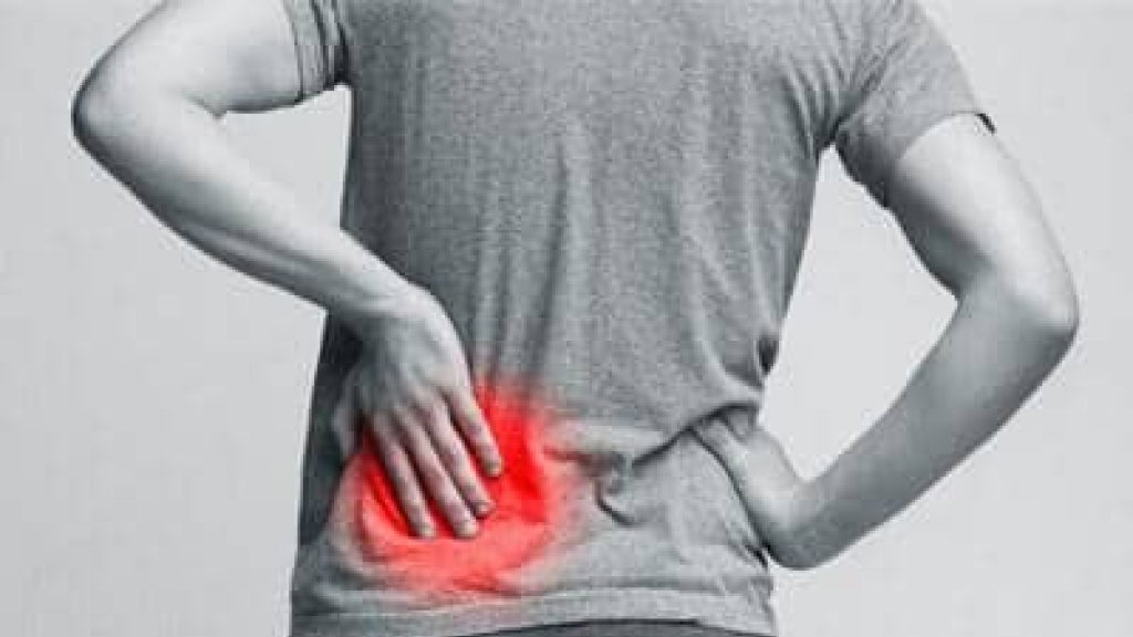 ناصرالدين في حملة توعية على أمراض الكلى المزمنة: الوقاية خط الدفاع الأول