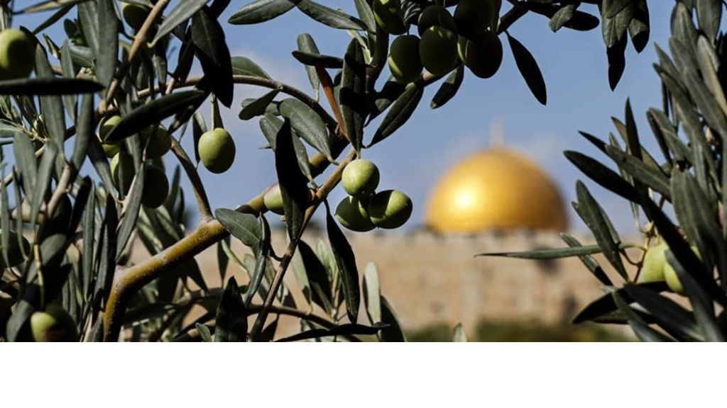 إبداع مقاوم يروي مآساة وأمل فلسطين