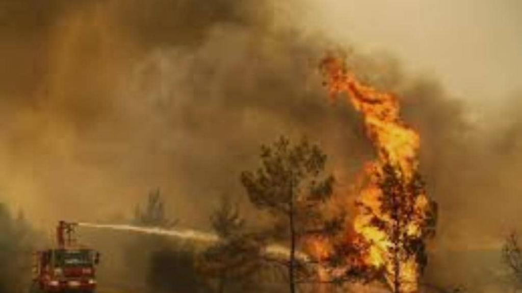 السلطات التركية: السيطرة على حرائق الغابات شمال غربي البلاد