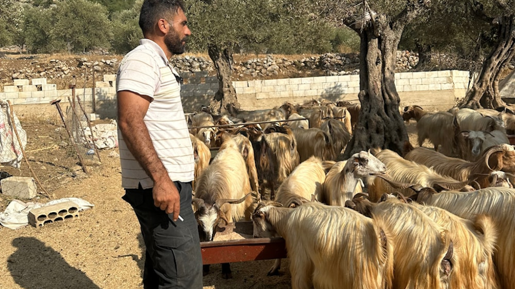 مئات العائلات مُهدّدة بالتهجير القسري: الاحتلال يقطع الأعناق والأرزاق في العرقوب