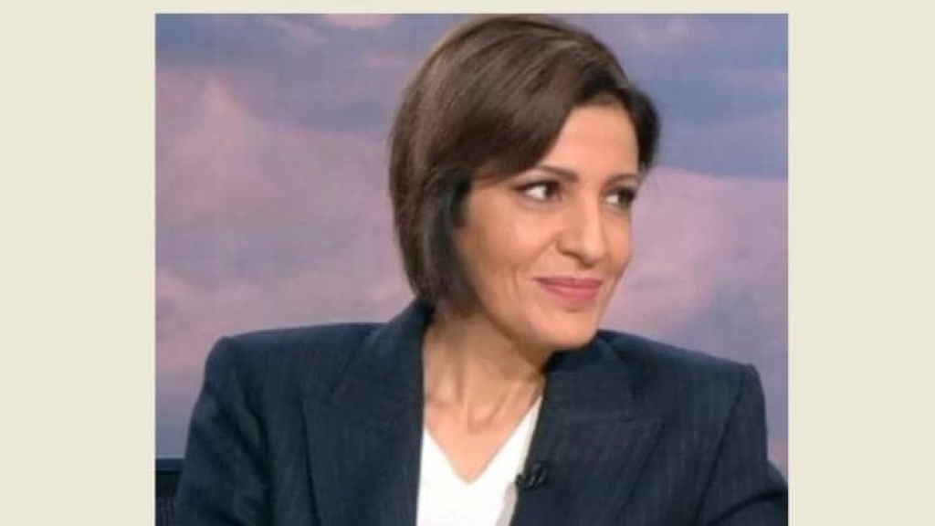 الزين عرضت مع وفد فرنسي التحديات البيئية في لبنان