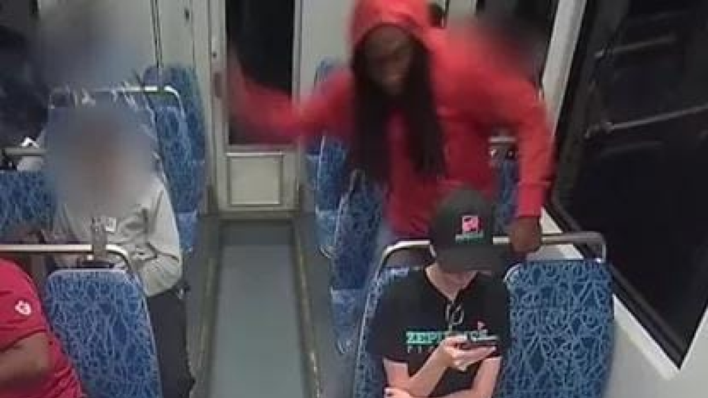 جريمة قتل لاجئة أوكرانية تشعل الجدل في أميركا.. وإدارة ترمب تهاجم الديمقراطيين