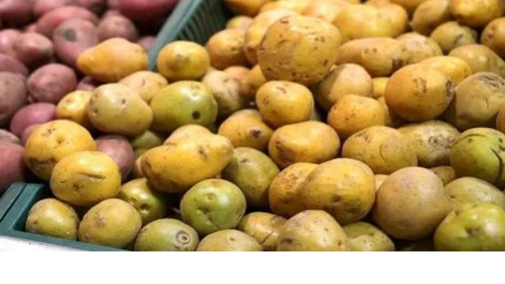احذر.. أشعة الشمس تحول 