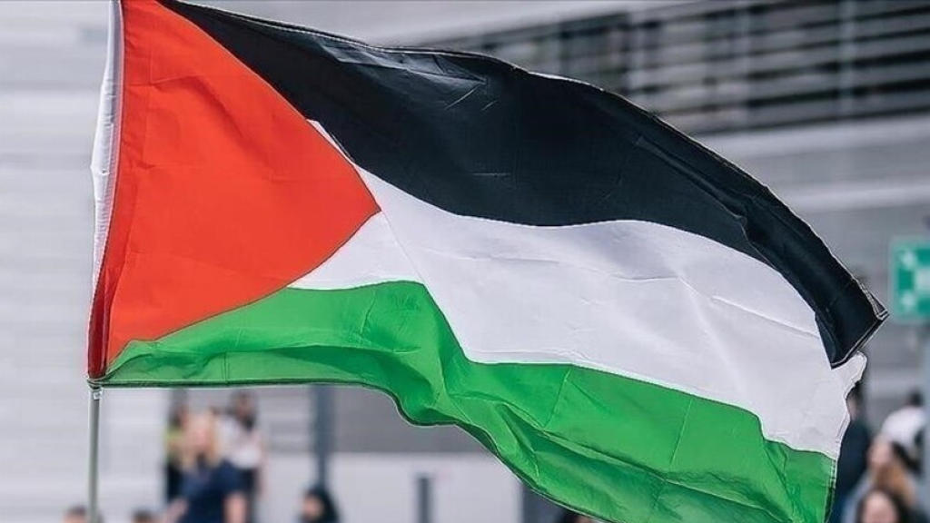 منظمة 